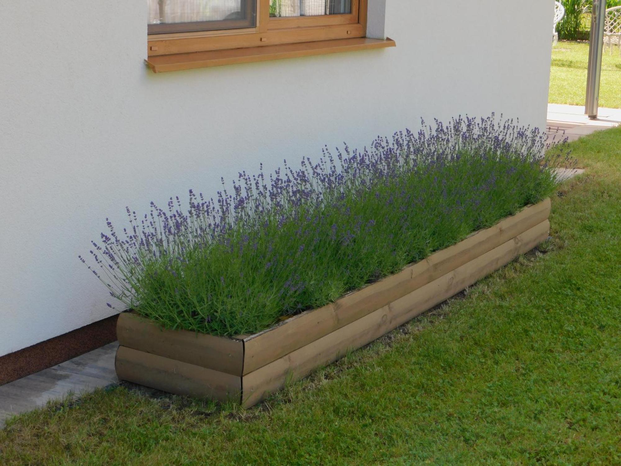 Forest House Sasino-Spa Sauna Balia Exterior foto